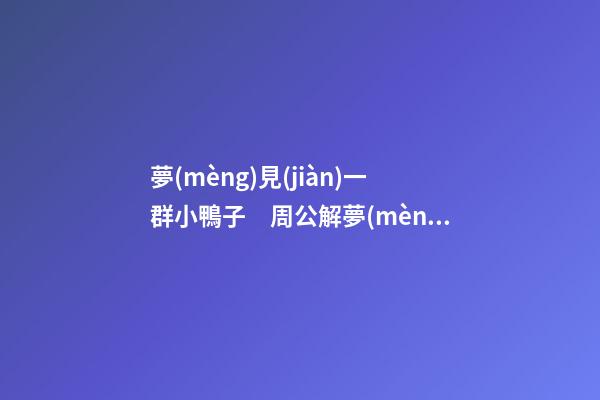 夢(mèng)見(jiàn)一群小鴨子　周公解夢(mèng)之夢(mèng)到一群小鴨子